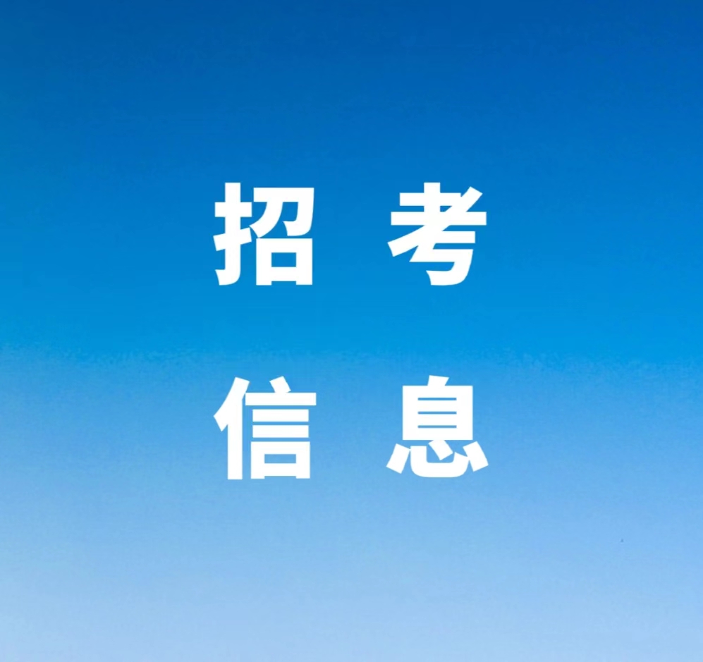 2024年2026世界杯官网单独招生考试工作方案